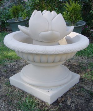 lotus__jardinere.jpg